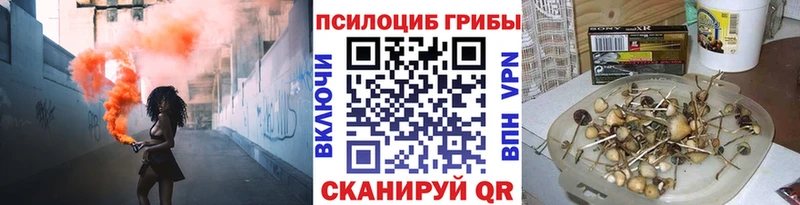 Галлюциногенные грибы GOLDEN TEACHER  Шахты 
